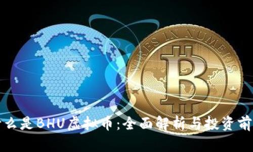 什么是BHU虚拟币:全面解析与投资前景