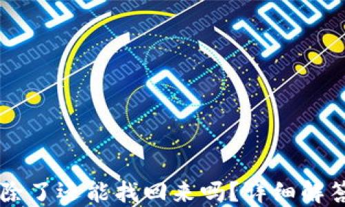 TPWallet删除了还能找回来吗?详细解答与操作指南