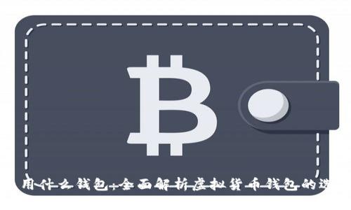 买虚拟币用什么钱包:全面解析虚拟货币钱包的选择与使用