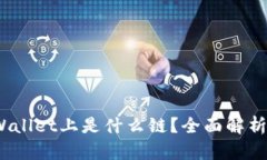  XCH在TPWallet上是什么链？全面解析与应用指南