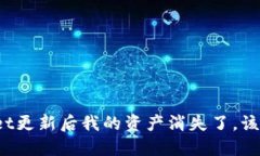 TPWallet更新后我的资产消失了，该怎么办？