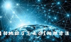 TPWallet转错地址了怎么办？处理方法与预防措施