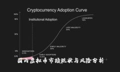 国内虚拟币市场现状与风险分析