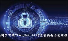 在哪里下载TPWallet APP？完整指南与使用技巧