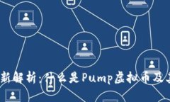 2023年最新解析：什么是Pump虚拟币及其投资风险