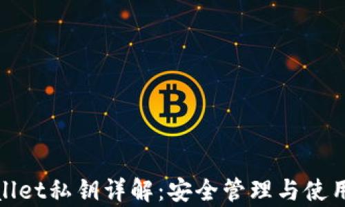 tpwallet私钥详解:安全管理与使用指南
