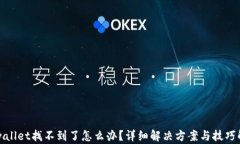 tpwallet找不到了怎么办？详细解决方案与技巧解析