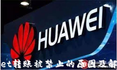 TPWallet转账被禁止的原因及解决方案