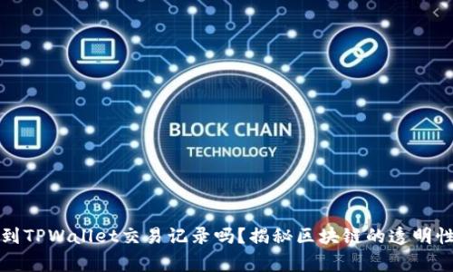 警察能查到TPWallet交易记录吗?揭秘区块链的透明性与隐私性