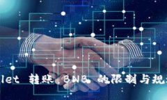 TPWallet 转账 BNB 的限制与规避方法