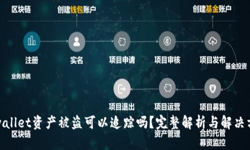 tpwallet资产被盗可以追踪吗?完整解析与解决方案