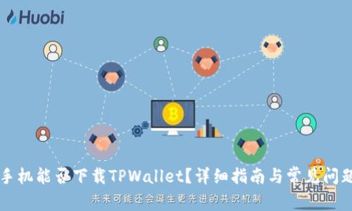 苹果手机能否下载TPWallet?详细指南与常见问题解析