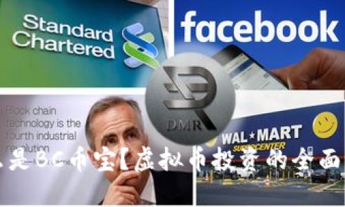 什么是BC币宝?虚拟币投资的全面指南
