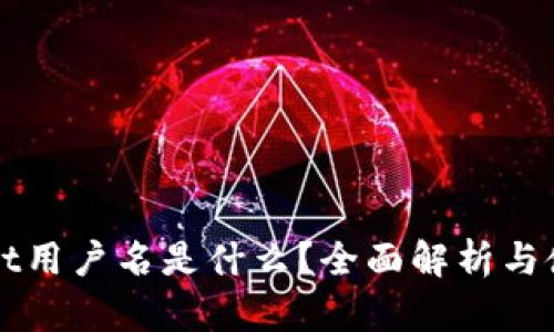TPWallet用户名是什么?全面解析与使用指南