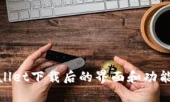 tpwallet下载后的界面和功能详解