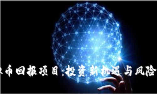 虚拟币回报项目:投资新机遇与风险分析