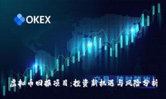 虚拟币回报项目：投资新机遇与风险分析