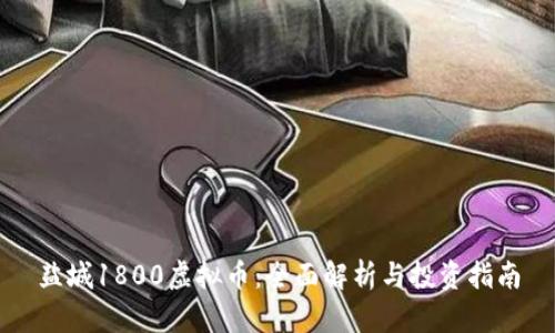 盐城1800虚拟币:全面解析与投资指南