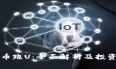 虚拟币跑U：全面解析及投资策略