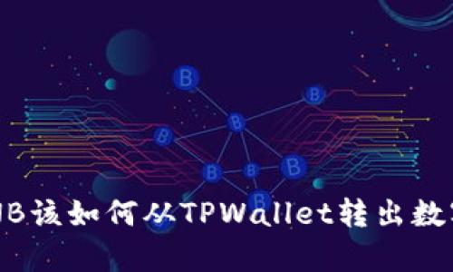 没有BNB该如何从TPWallet转出数字资产?