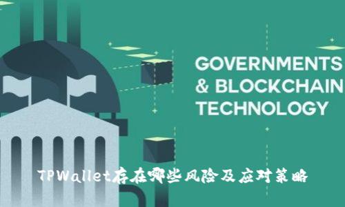 TPWallet存在哪些风险及应对策略