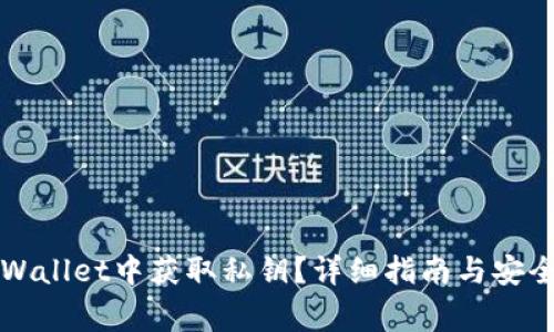 如何在TPWallet中获取私钥?详细指南与安全注意事项