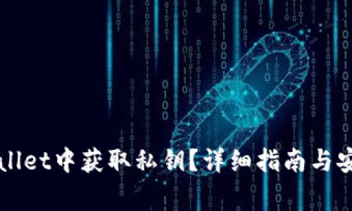 如何在TPWallet中获取私钥?详细指南与安全注意事项