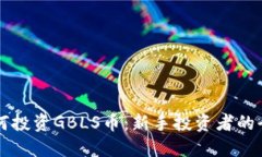 筑头如何投资GBLS币：新手投资者的全面指南