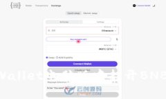 如何在TPWallet电脑版中打开BNB：详细指南