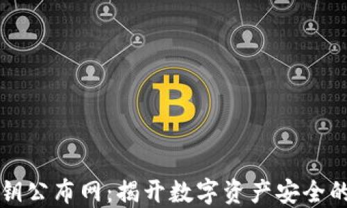 虚拟币密钥公布网:揭开数字资产安全的神秘面纱