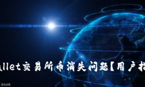 如何解决tpwallet交易所币消失问题?用户指导与解决方案