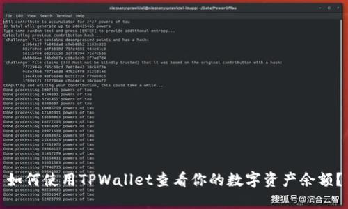 如何使用TPWallet查看你的数字资产余额？