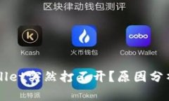 为什么TPWallet突然打不开？原因分析与解决方案