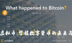 史明虚拟币：掌握数字货币的未来与趋势