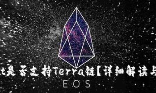 TP Wallet是否支持Terra链?详细解读与使用指南