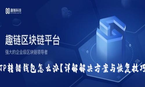 TP转错钱包怎么办？详解解决方案与恢复技巧