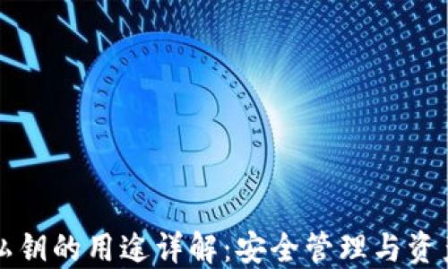 
TPWallet私钥的用途详解：安全管理与资产保护攻略