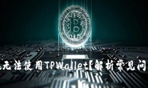 : 为什么现在无法使用TPWallet？解析常见问题及解决方案