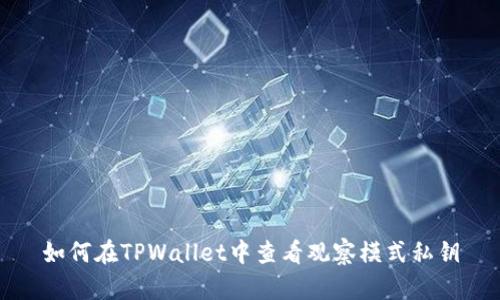 如何在TPWallet中查看观察模式私钥