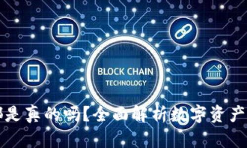 TPWallet里的币都是真的吗?全面解析数字资产的真实性与安全性