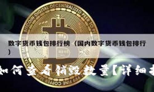 TPWallet如何查看销毁数量？详细指南与技巧