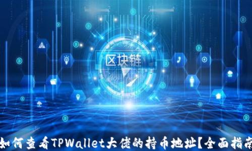 
如何查看TPWallet大佬的持币地址？全面指南