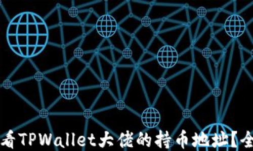 
如何查看TPWallet大佬的持币地址？全面指南
