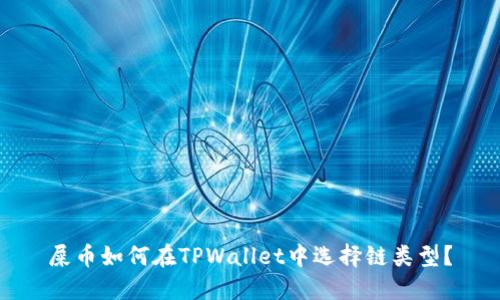 屎币如何在TPWallet中选择链类型？