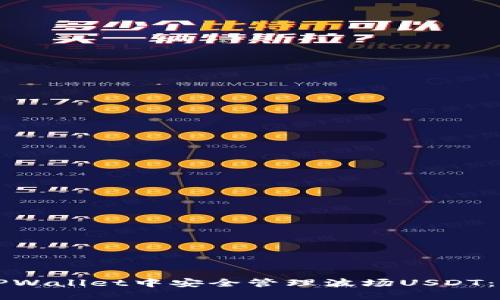 如何在TPWallet中安全管理波场USDT:全面指南