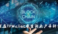 如何在TPWallet中查询大户币种信息