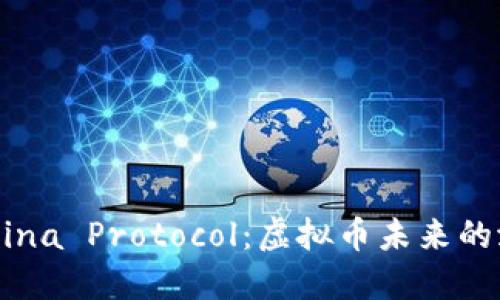深入探讨Mina Protocol：虚拟币未来的潜力与挑战