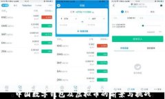 中国数字钱包及虚拟币的前景与挑战