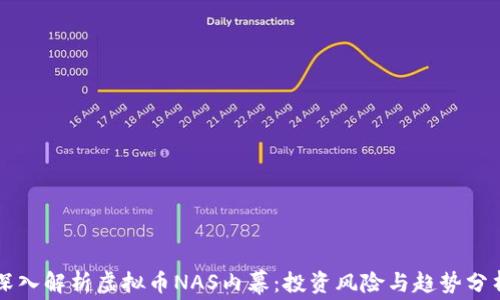 
深入解析虚拟币NAS内幕：投资风险与趋势分析