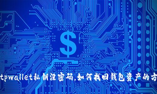 : tpwallet私钥没密码，如何找回钱包资产的方法
